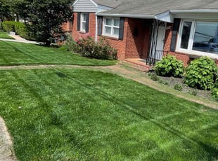 Brian G.'s turf maintenance service result