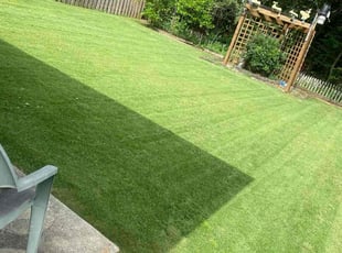 Tyler C.'s turf care service result