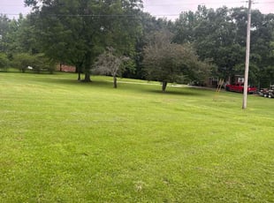 Barbara K.'s lawn service service result