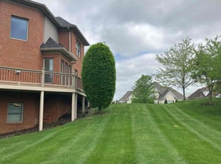 Amanda K.'s lawn maintenance service result