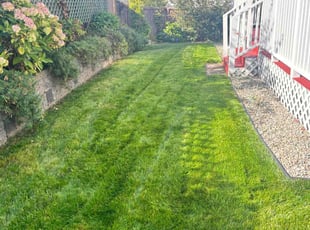 Thomas U.'s lawn maintenance service result