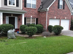 Gregory D.'s Bush Trimming service result