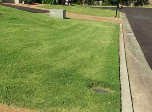 Laose O.'s turf maintenance service result