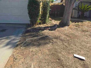 Shea C.'s lawn service service result