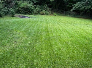 Tywon J.'s lawn service service result