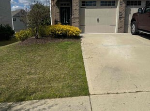 Carolyn B.'s grass maintenance service result