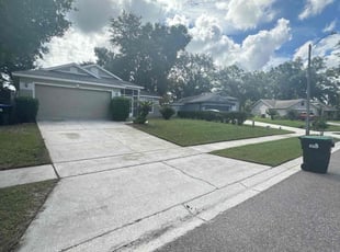Michele C.'s grass cutting service result