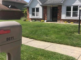 Todd V.'s lawn maintenance service result