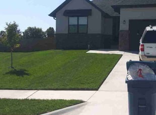 Madeline H.'s lawn maintenance service result