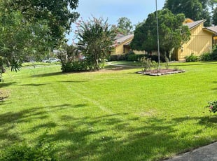 Brandon M.'s yard maintenance service result