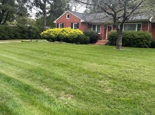 Angeline S.'s turf care service result