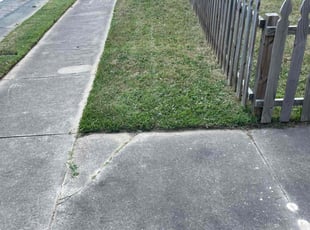 Crystal T.'s lawn care service result