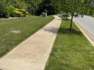 Carlos P.'s grass cutting service result