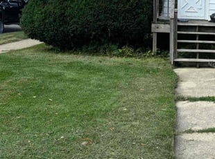 Judi M.'s turf care service result