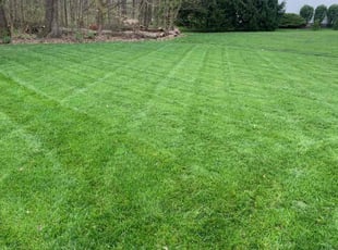 Stefanie H.'s lawn service service result