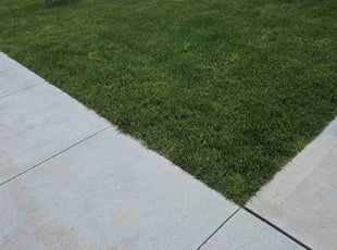 Latosha G.'s turf maintenance service result