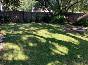 Terri T.'s lawn maintenance service result