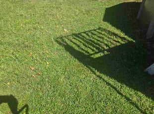 Kathy M.'s lawn maintenance service result