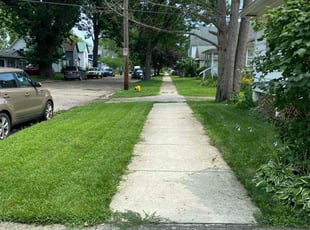 Tayyibah S.'s lawn service service result