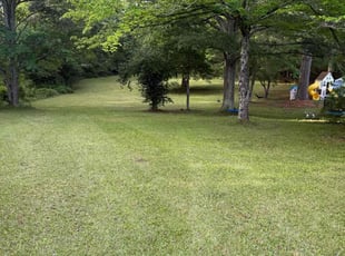 Darcy L.'s lawn care service result