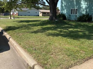 Paul F.'s lawn care service result