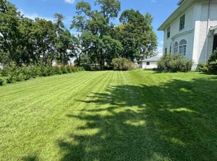 Lori D.'s turf maintenance service result