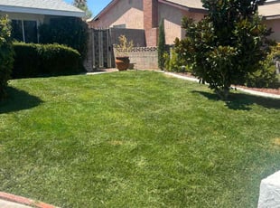 Dan W.'s lawn service service result