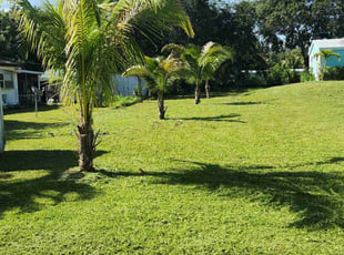 Lisa M.'s lawn maintenance service result