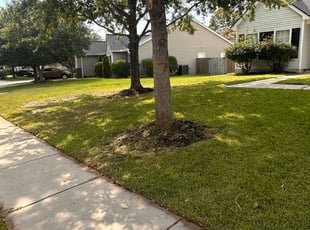 Bonnie S.'s lawn care services service result