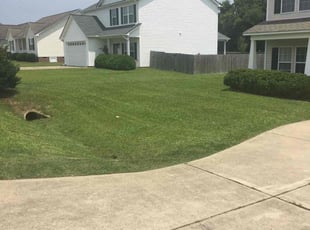 Kenneth S.'s turf care service result