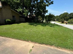 Chris S.'s yard care service result