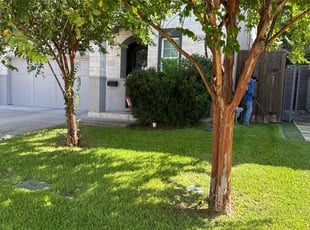 James M.'s lawn care service result