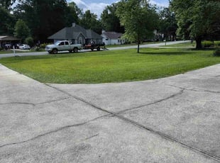 Sam M.'s lawn care service result