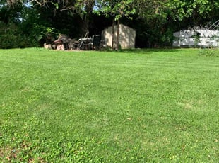 Autumn R.'s lawn care services service result