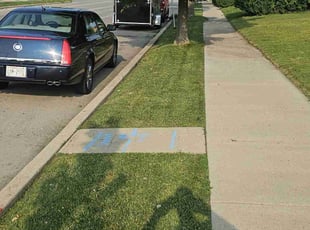 David R.'s grass cutting service result