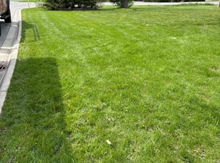 Denise M.'s lawn service service result