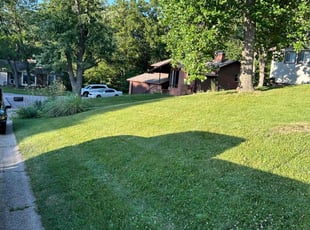 Ken A.'s lawn maintenance service result