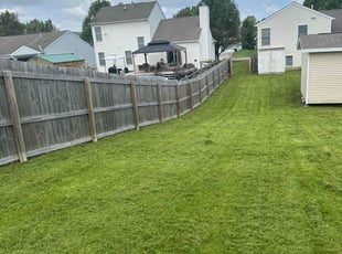Sheila C.'s grass maintenance service result