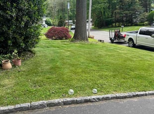 Annie M.'s turf maintenance service result