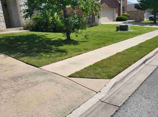 Rigo R.'s grass maintenance service result