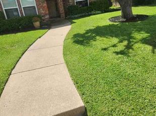 Kelly M.'s lawn maintenance service result