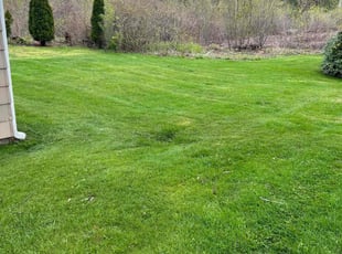 Thomas B.'s Other service result