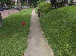 Brett K.'s lawn maintenance service result