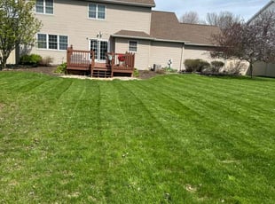 Jasmine B.'s lawn care services service result