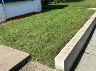 Richard T.'s lawn care service result