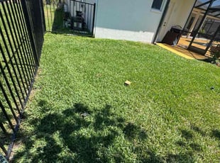 Austin D.'s lawn care services service result