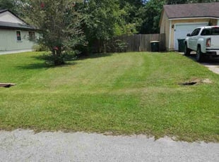 Alex B.'s lawn maintenance service result