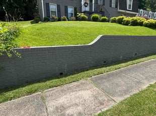 Luciano L.'s lawn care service result