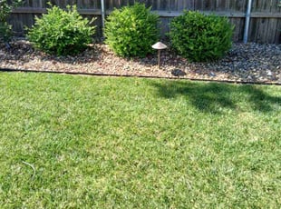Alexia M.'s turf care service result