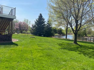 Amanda G.'s grass maintenance service result